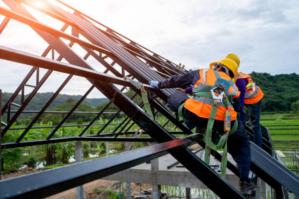 Best Roof Gutter Cleaning  in Hallsville, TX