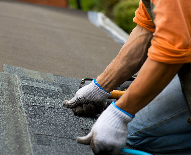 Best Roof Replacement Cost  in Hallsville, TX